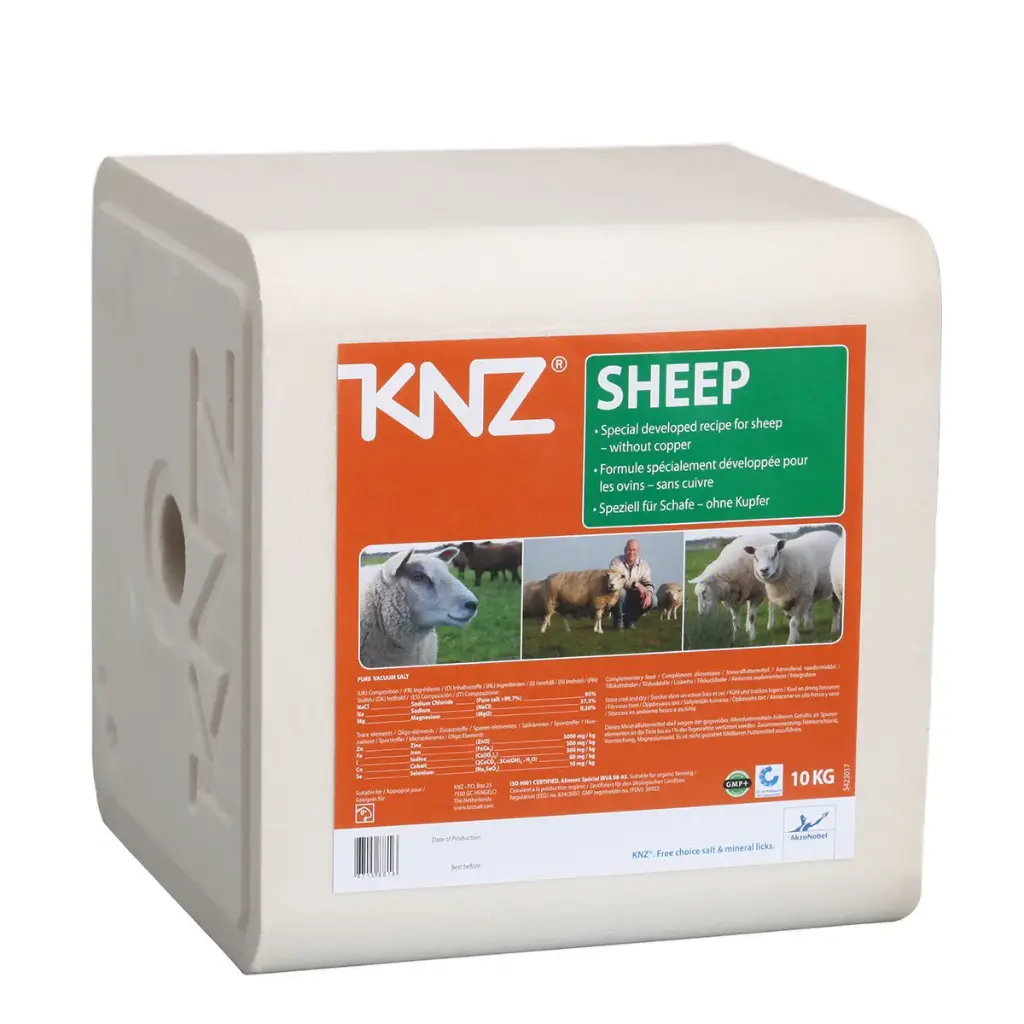KNZ Pierre à Lécher Pour Mouton 10KG